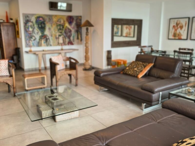 Meublé de luxe en ZONE 4
